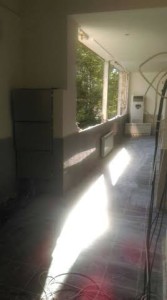 punak (11)