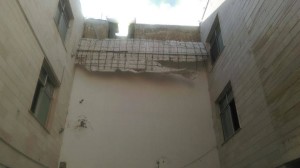 punak (2)