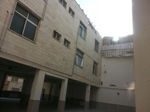 punak (3)
