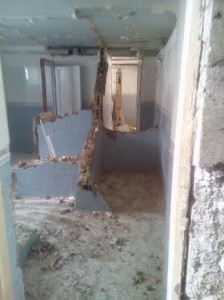 punak (6)