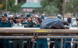 268411_360