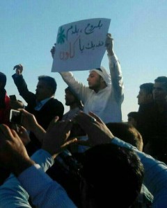ali kaab amir1